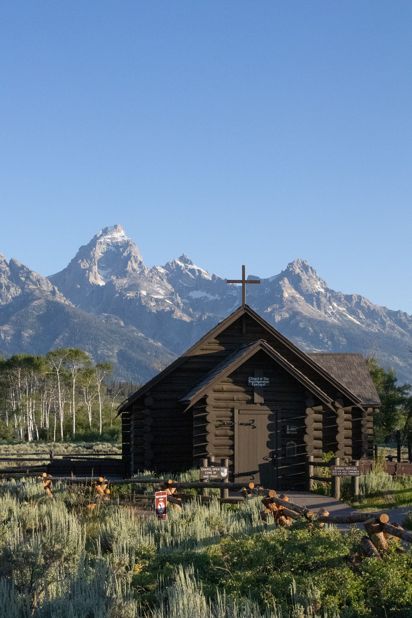 Read more about the article Road Tripping Across North America